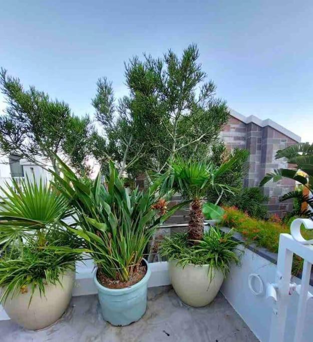 Peacefull, Private, Pristine Daire