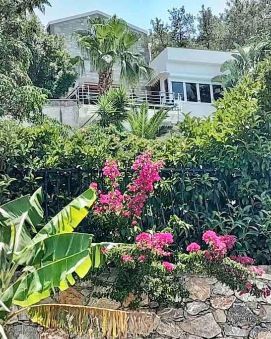 Appartement Peacefull, Private, Pristine